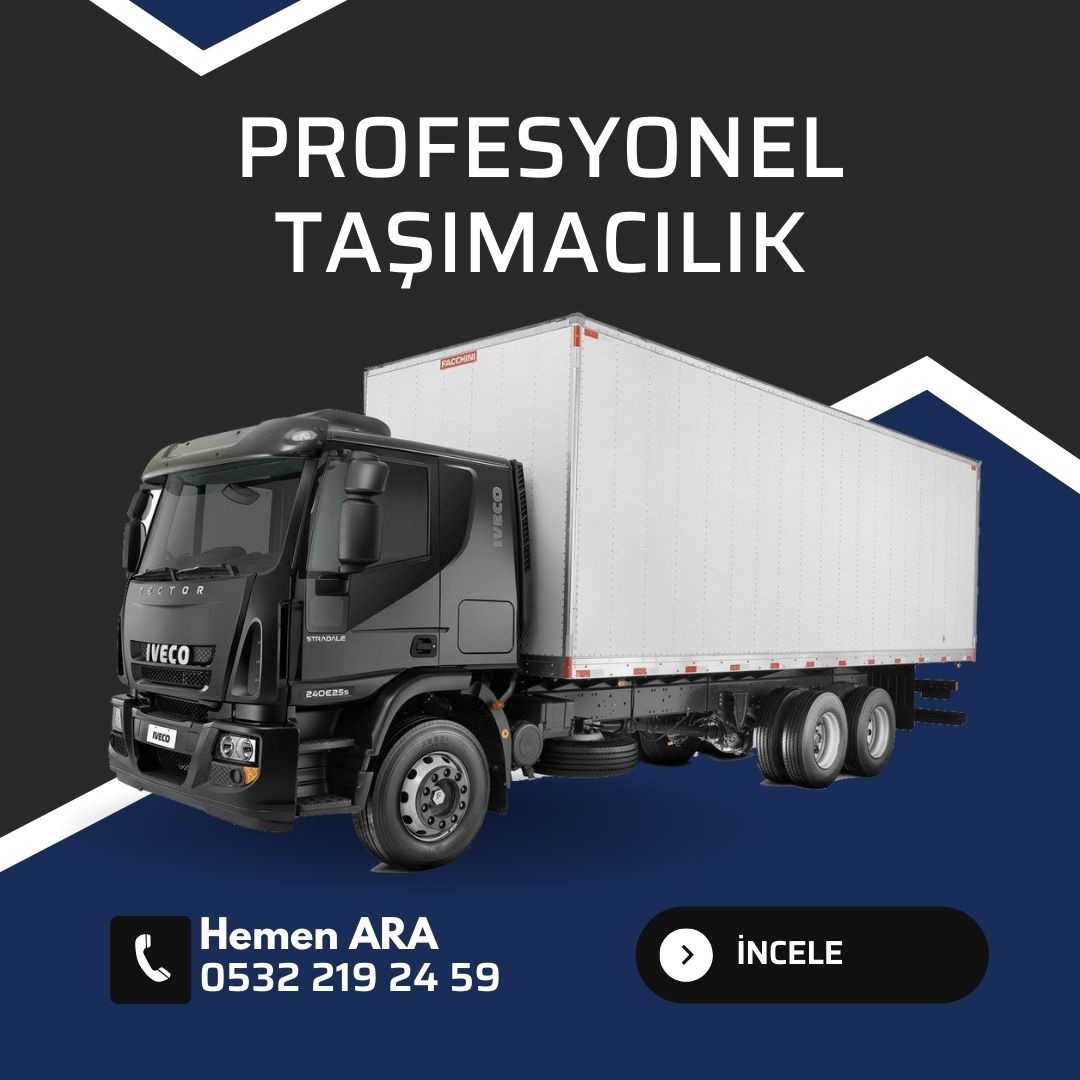Profesyonel Taşımacılık